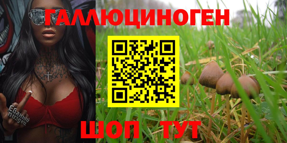 Псилоцибиновые грибы прущие грибы  Вход с VPN  Лениногорск 