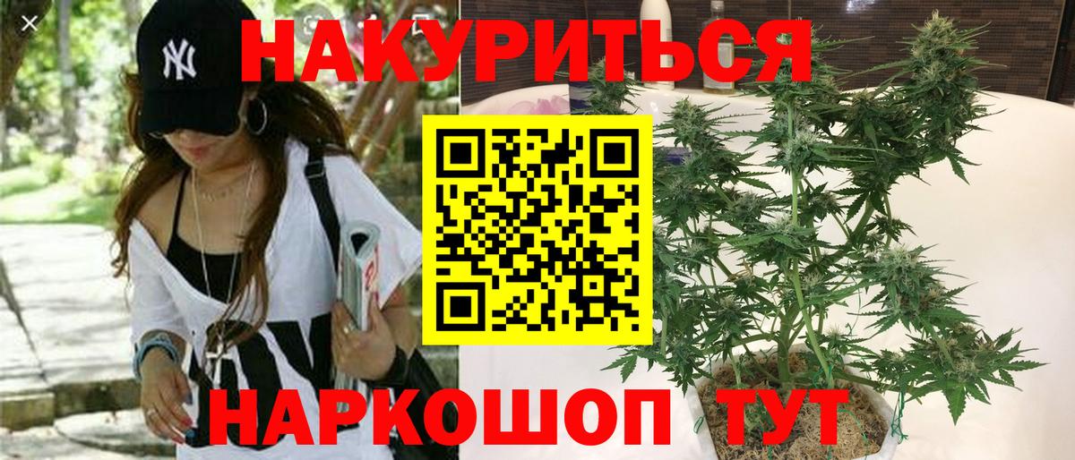 Конопля план Лениногорск